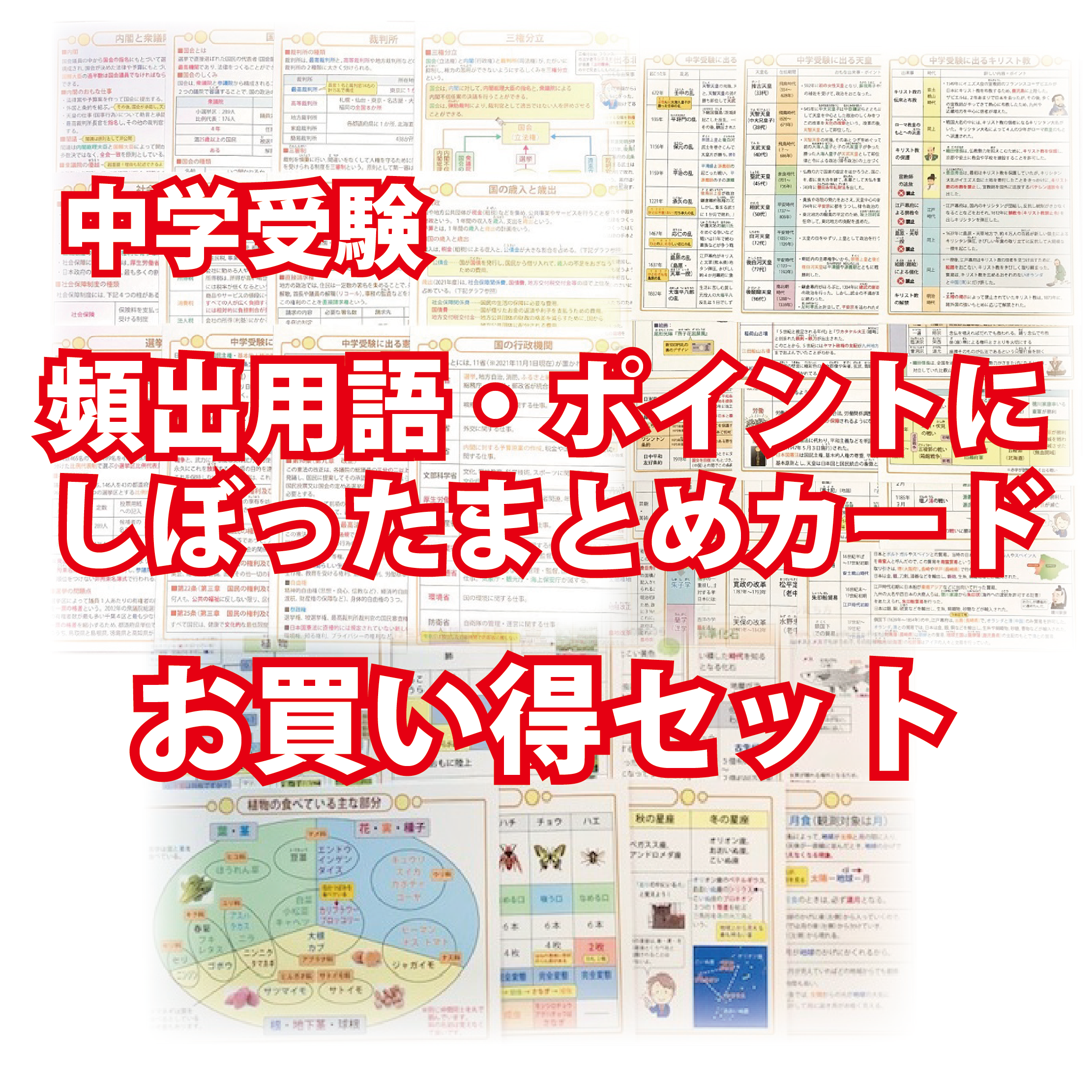 お買い得セット！　中学受験・頻出用語・ポイントにしぼったまとめカード