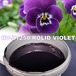 ROLID RV-Z1250 Violet バイオレット オフセットインキ Zeller + Gmelin（ゼラー＋グメリン社）製 ROLID RVシリーズ [アウトレット販売]