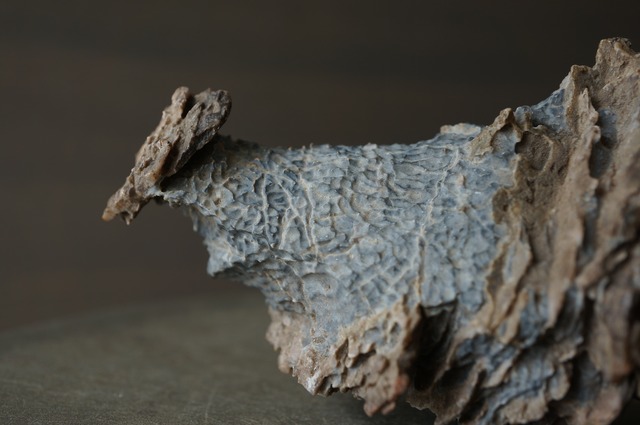 ゴビ砂漠産風凌石 Fengling Stone 2375