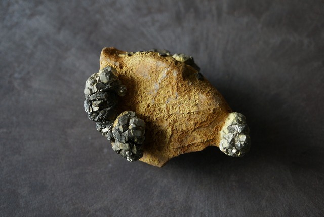 パイライト / リモナイト  Pyrite / Limonite 877