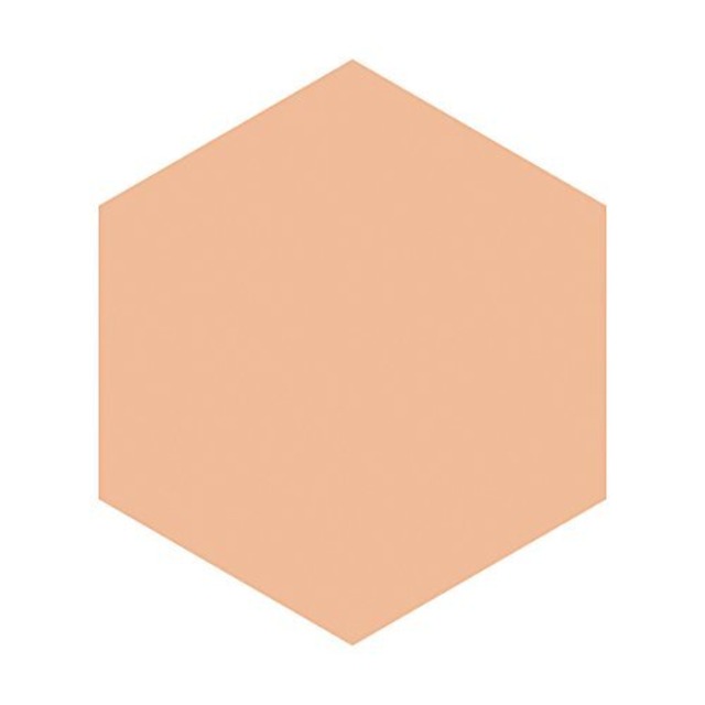 INTEGRATE GRACY(インテグレート グレイシィ) ブライトパクトEX オークル10 (レフィル) ファンデーション 明るめ 11g