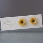 向日葵 ーSunflowerー