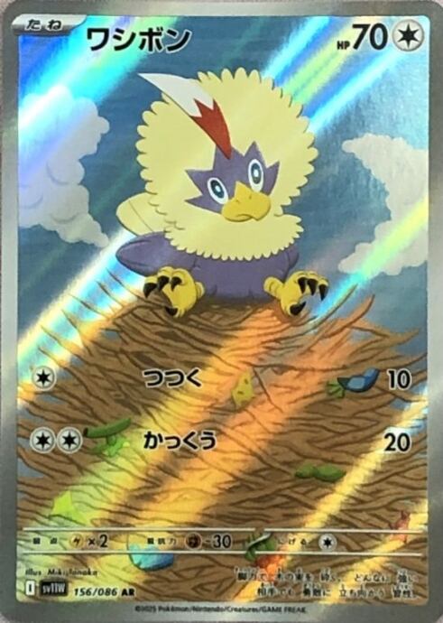 【美品】ワシボン(AR)