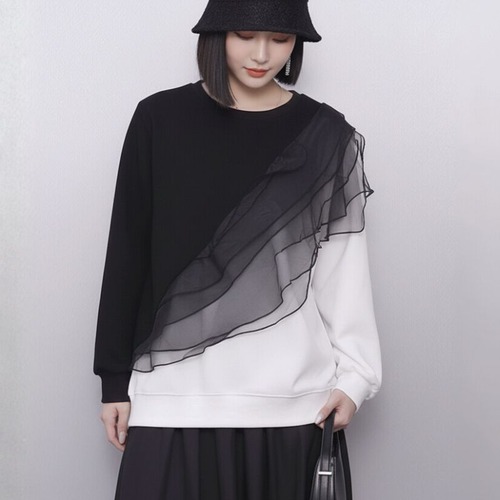Sheer layer sweat top C1332