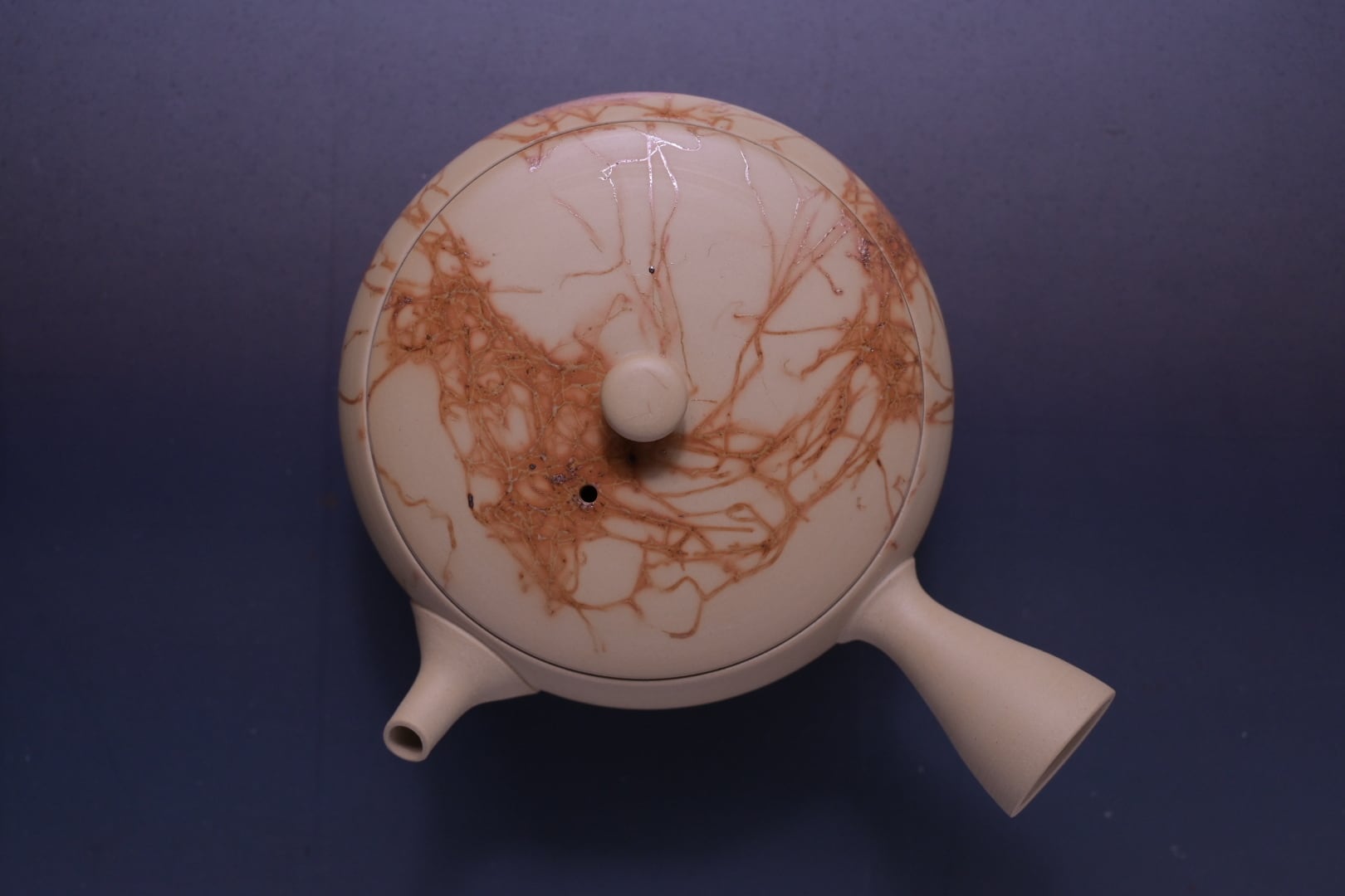 水野博之 白泥藻焼急須（平） | 鎌倉倶楽部 茶寮