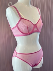 KATE ショーツ エルス