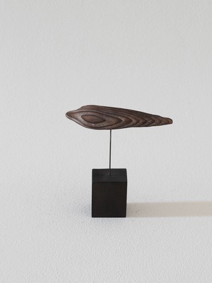 Olectronica  |  8. Untitled - Cedar wood