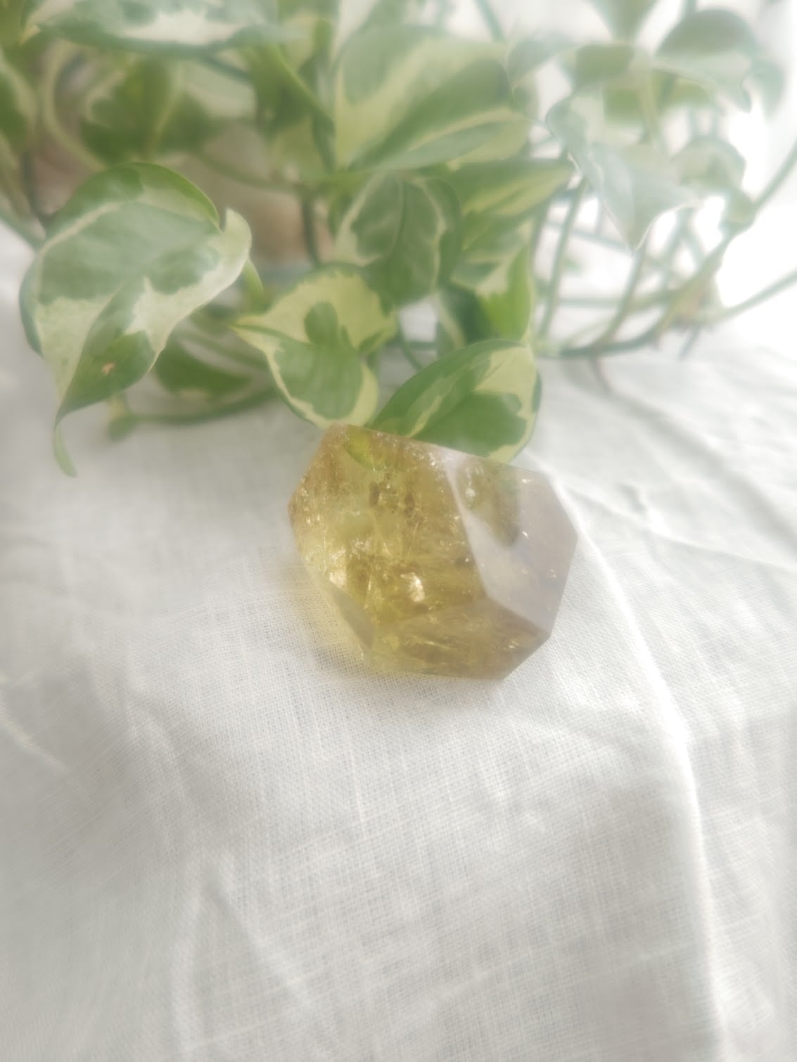 天然石 | 日賀 Nichika｜祈りを込めた開運天然石