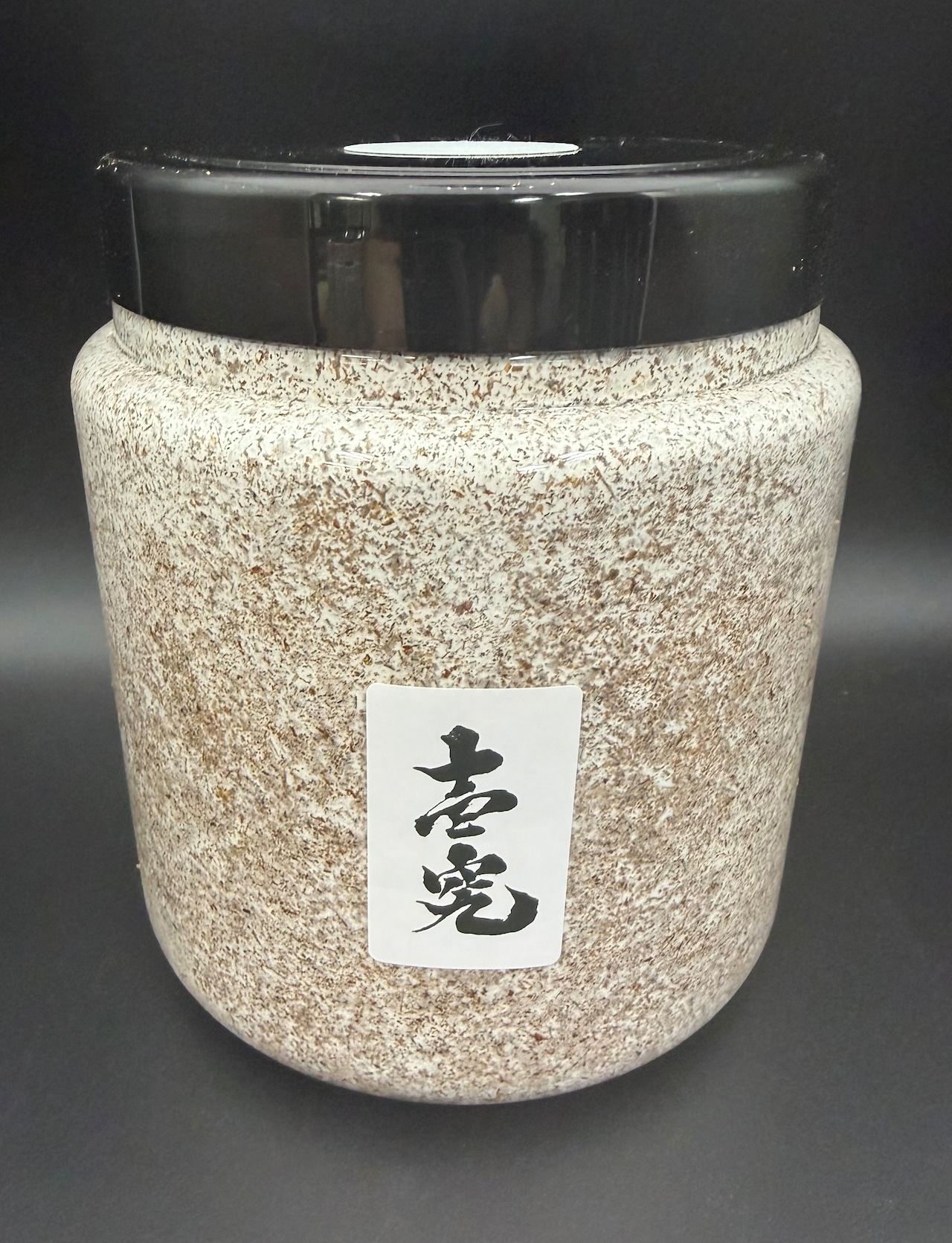 【壱究】オオヒラタケ 2000cc