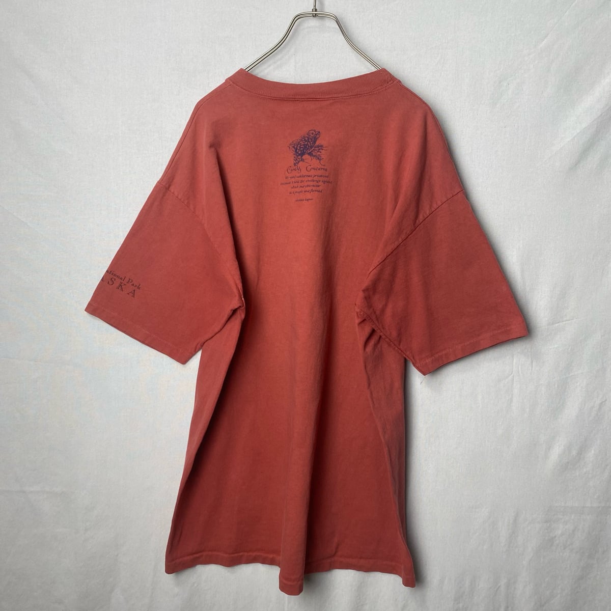 90s 風景 熊 アートTシャツ 古着 赤 レッド USA製 ヴィンテージ