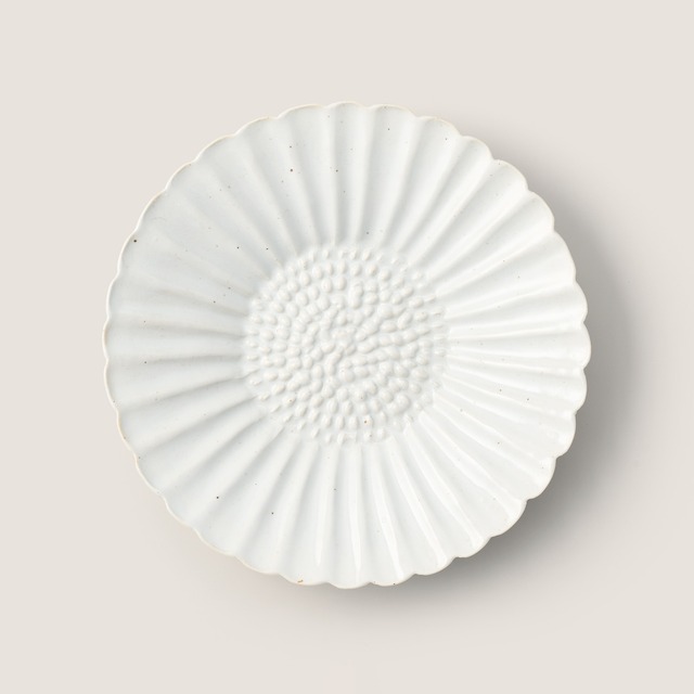 李白 鎬彫菊割8寸プレート皿
