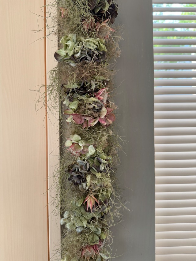 tunagu -スモークツリーとアジサイ-