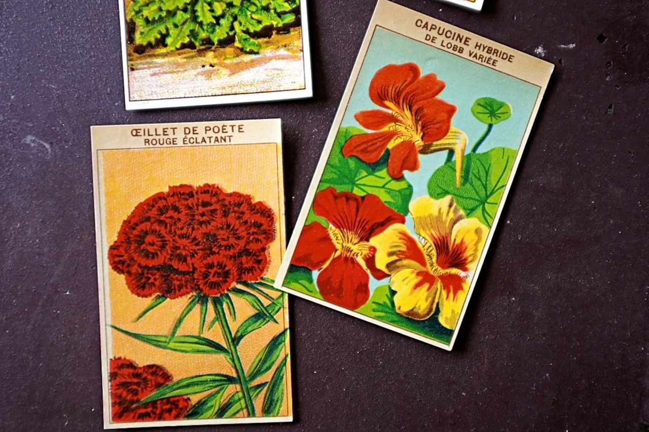 20s フランス 4set 膨満な花々と野菜たち 種子袋用ラベルe アンティーク