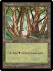 MTG《森/Forest(APACランド)》英語 ※プレイ用