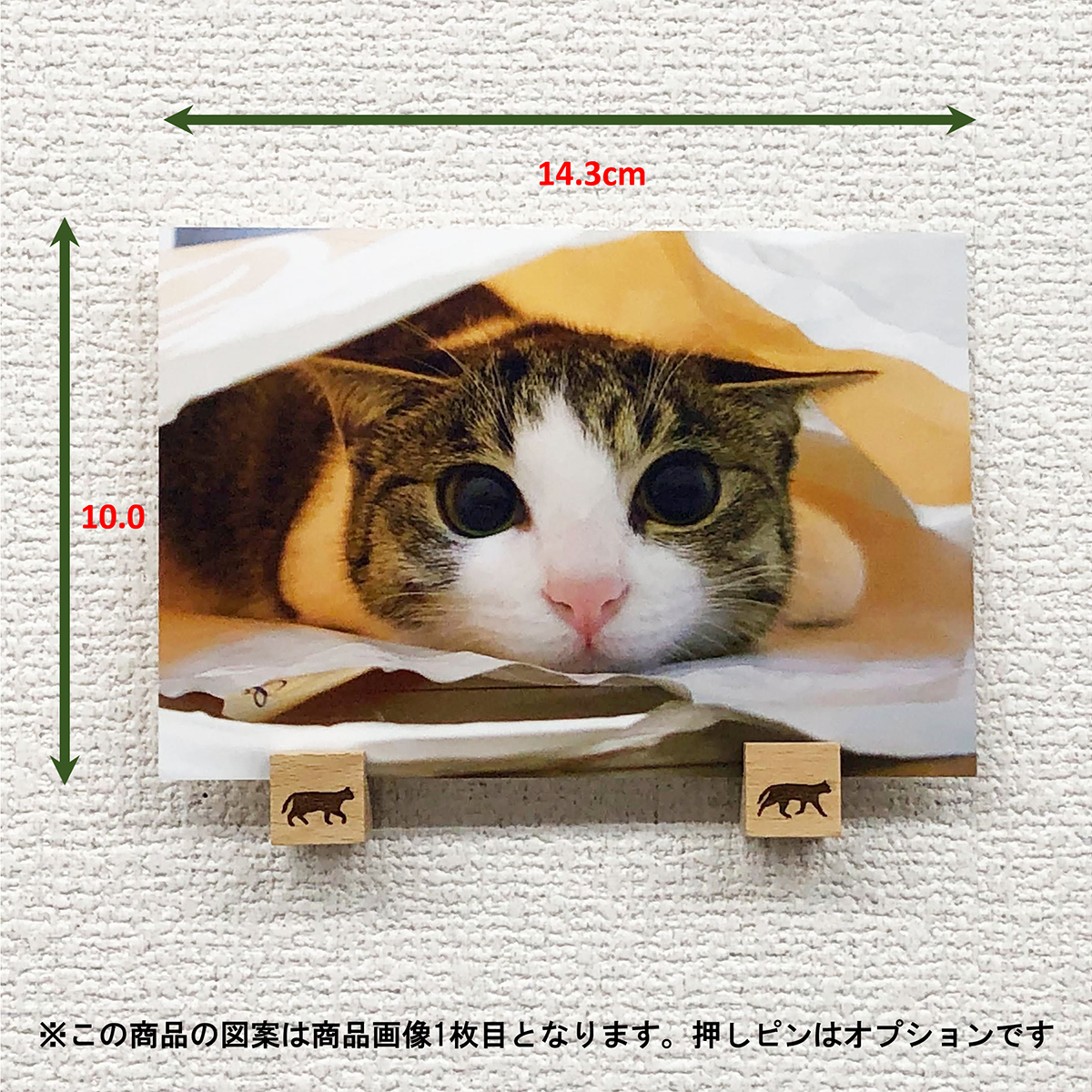 猫 ポストカード The Cat who....（サバトラ）ネクタイ 10x14.8センチ（cm）官製はがきサイズ 猫写真 はがき ねこ葉書  ネコハガキ Postcard アイとちび ジェリー Shop The Cat who....
