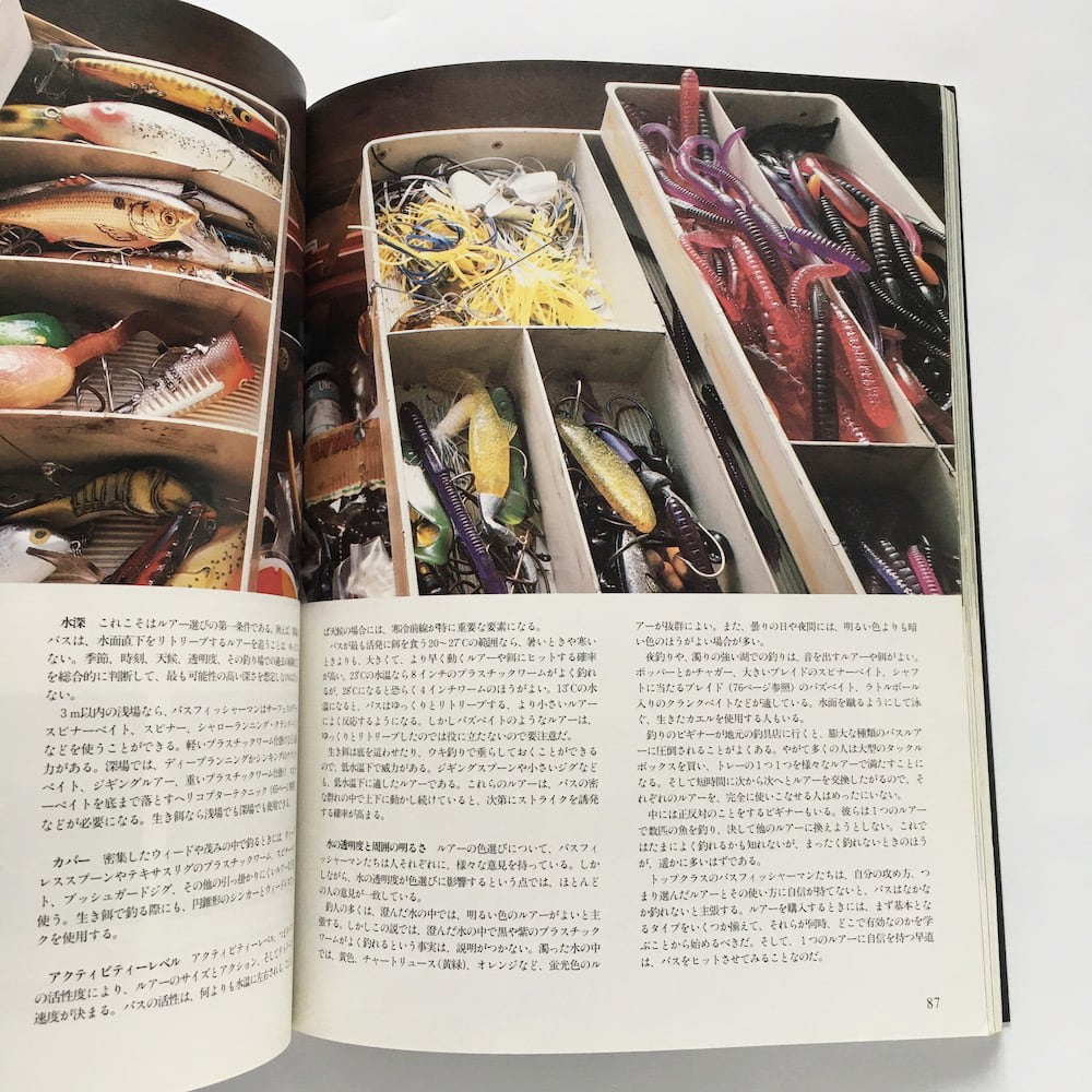 バスフィッシング 上級者への道 castiello.com