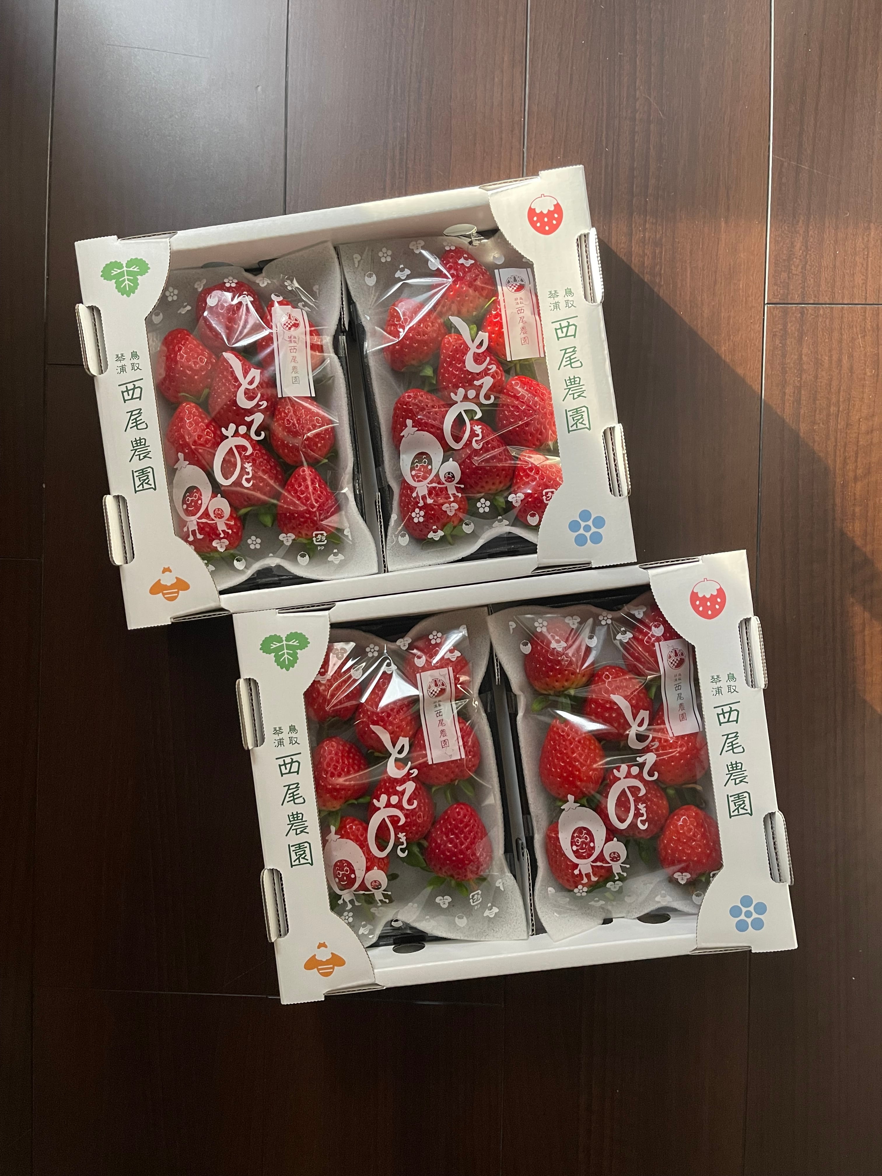 苺4トレー入り 【鳥取県オリジナル品種 とっておき】 | 240nouen