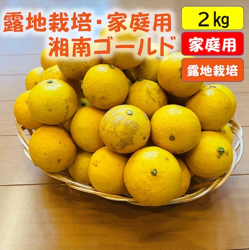 送料無料　湘南ゴールド（露地栽培・家庭用）　２ｋｇ