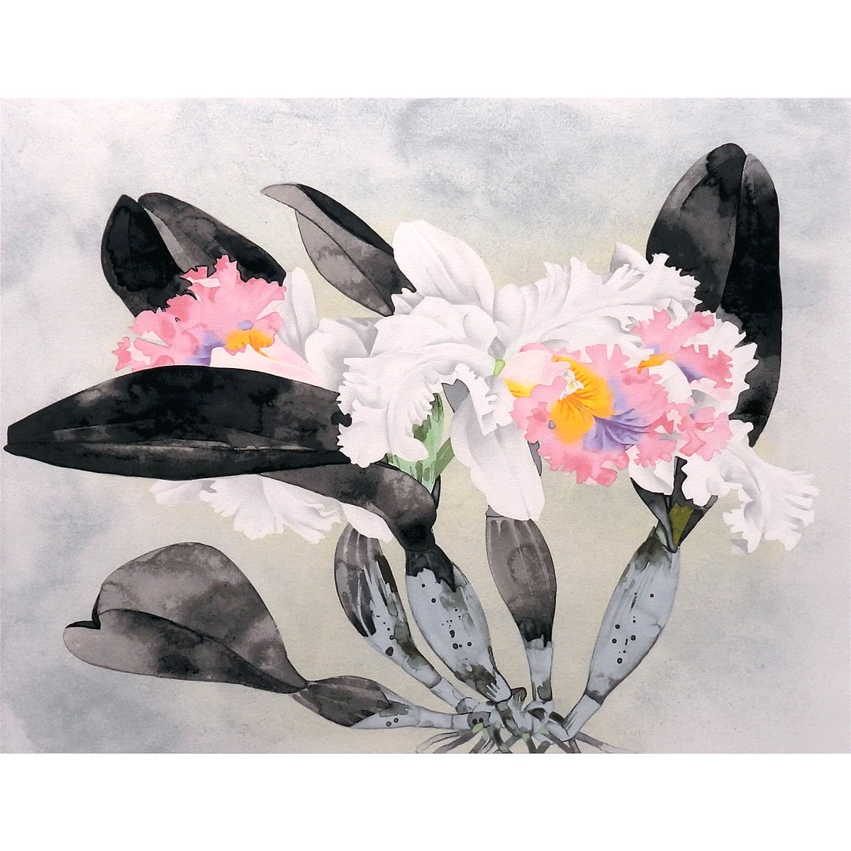 絵画 中島千波 かとれあ リトグラフ 版画作品 静物画 花 西洋蘭 作家