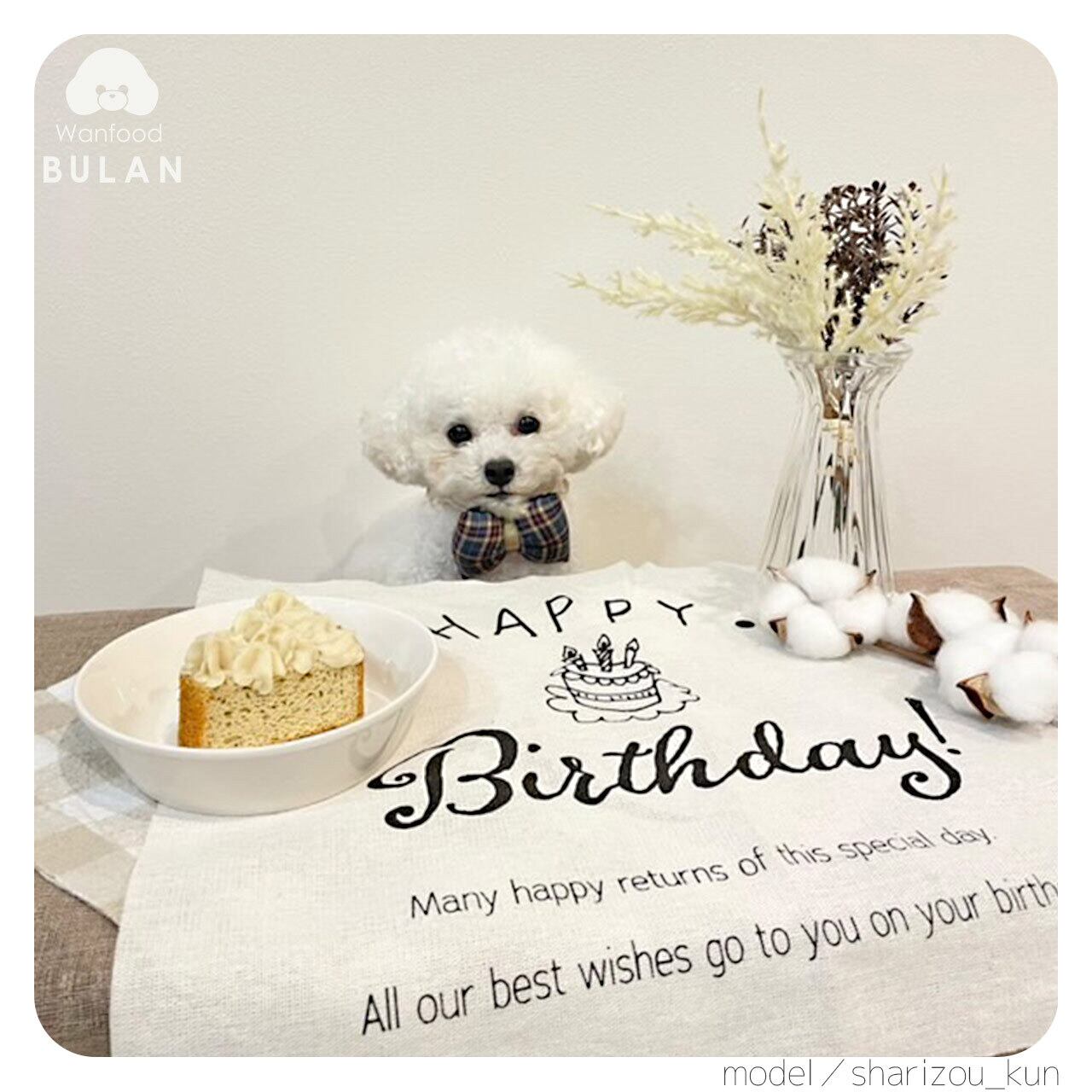 なかっち様専用 おやつ便 シフォンケーキサンド チーズケーキ テリーヌ