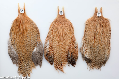 【METZ】 COCK NECK HACKLE Barred Ginger Grade 3 (USパッケージ)