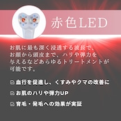 【1週間前後でお届け】ZERU V2 スタートセット