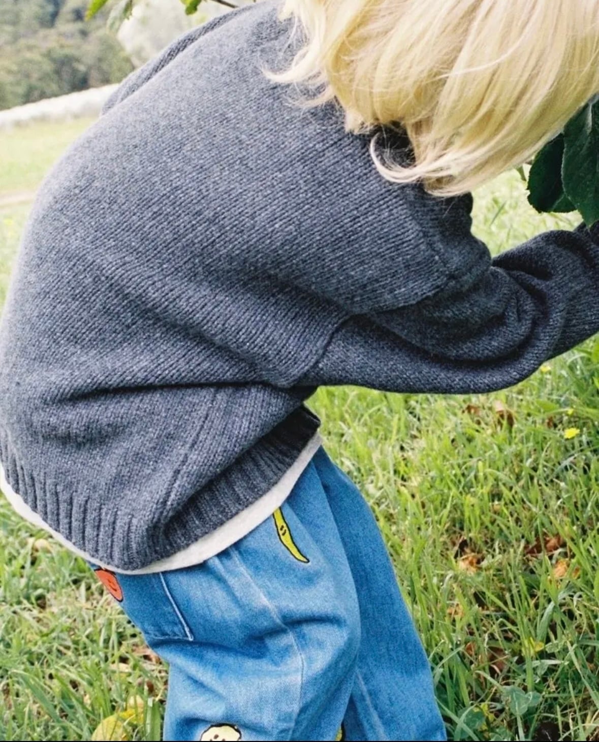 【即納/送料無料】Grown / ORGANIC FRUIT SALAD DENIM PANTS