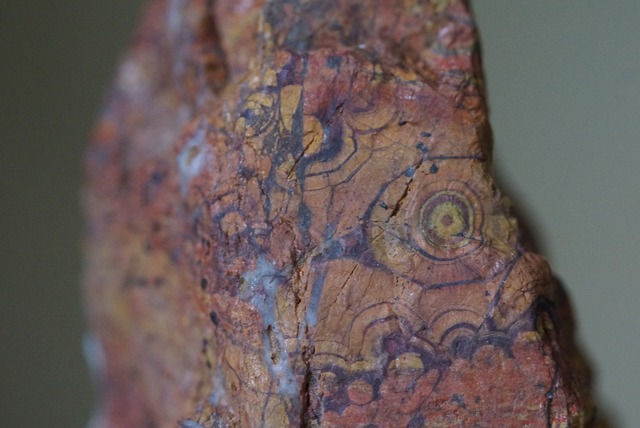 モーガンヒル・ポピージャスパー　Morgan Hill Poppy Jasper