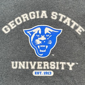 【GILDAN】カレッジ ジョージア州立大学 GEORGIA STATE UNIVERSITY Tシャツ アーチロゴ 2XL ビッグサイズ US古着