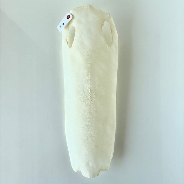 鮫皮問屋