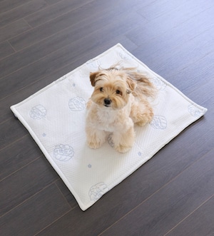 予約【azalea】New igloo Waterproof Square Blanket