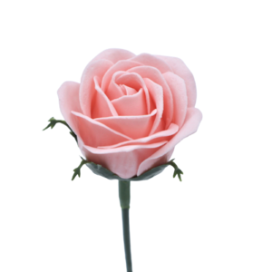 ジャナバラMJ-P2 ピーチ　(15輪入りor25輪入り)