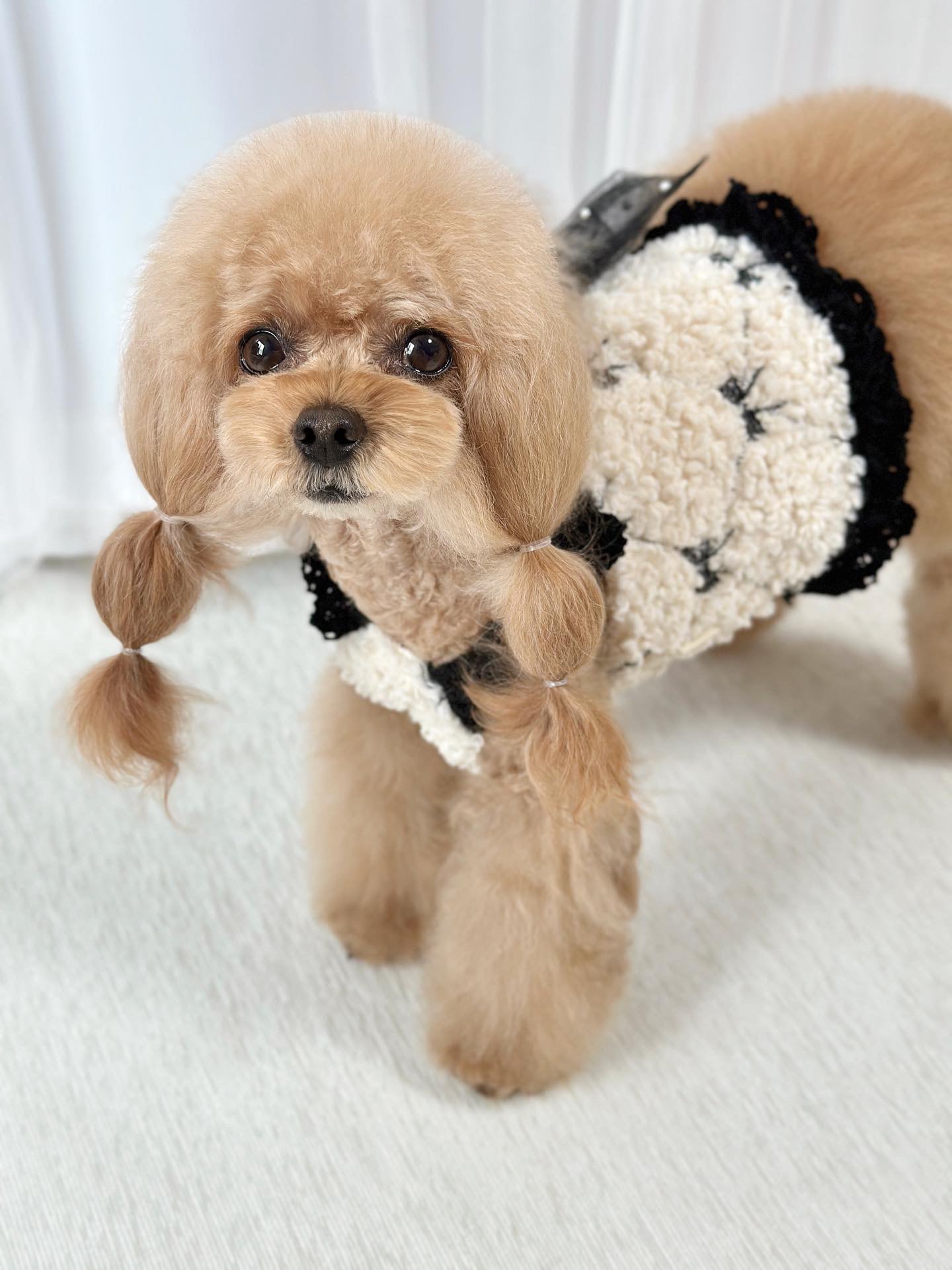 即納販売 lovely ribbon bustier （ivory/black）ラブリーリボン