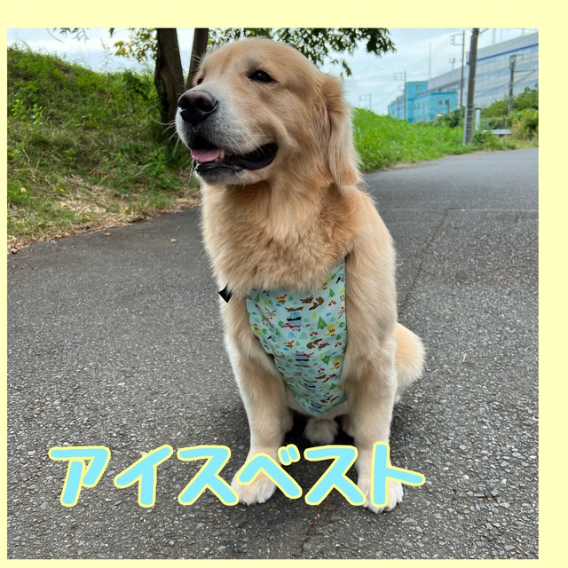 大型犬用品　犬用 自着性包帯 足用保護バンテージ（傷口保護・舐め防止）