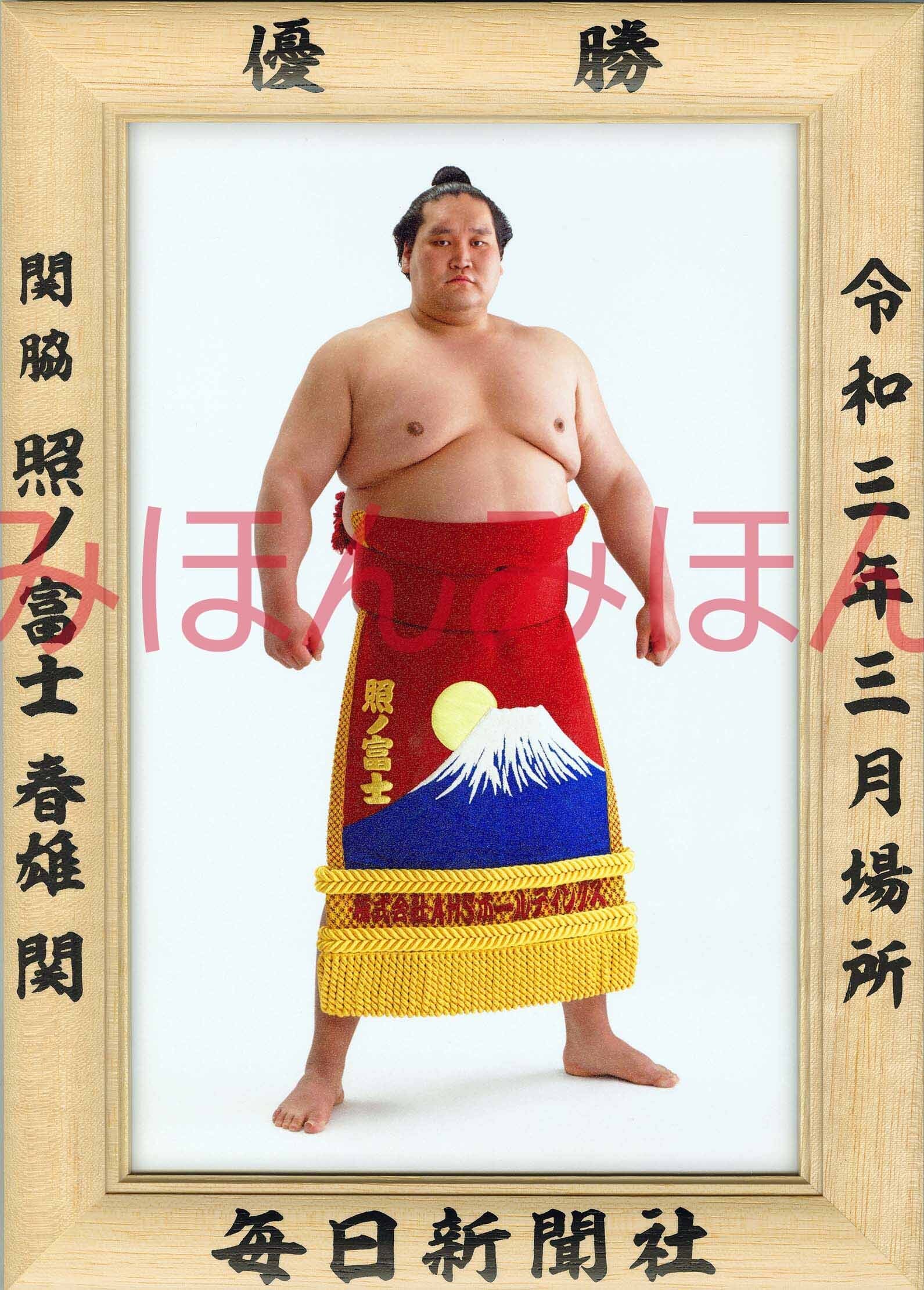 Web限定カラー 専用 大相撲 若乃花 大関 ミニチュア 優勝額 相撲 武道 Labelians Fr Web限定カラー 専用 大相撲 若乃花 大関 ミニチュア 優勝額 相撲 武道 Labelians Fr
