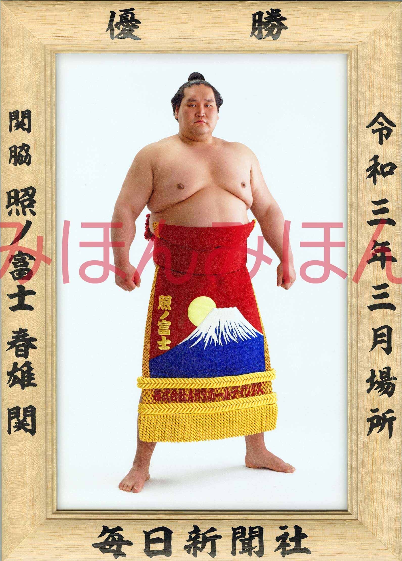 大相撲優勝額 令和３年３月場所 照ノ富士関 毎日新聞オンラインストア