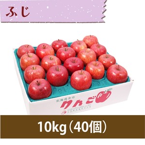 【りんご】ふじ 10kg（40個）