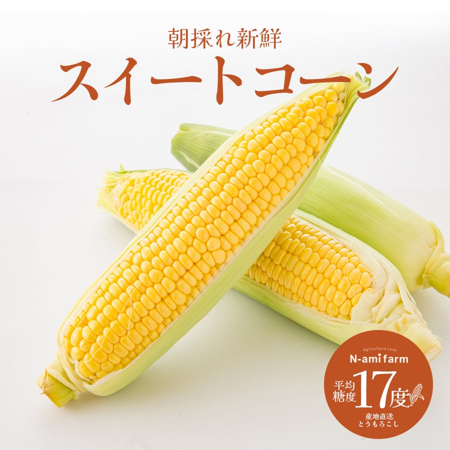 2026年販売】 最高糖度18度の極うま スイートコーン 20～30cm 7本～10
