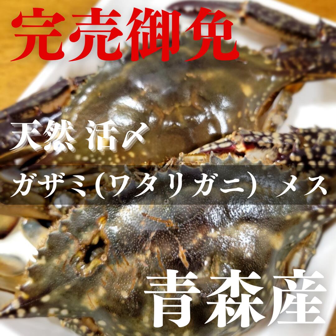 漁師・漁港からお届け鮮魚産直通販サイト｜ライドザシップ　今が旬！青森産　天然活〆ワタリガニ（メス）（3杯まで同梱可能）