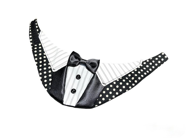 ペット用ハット