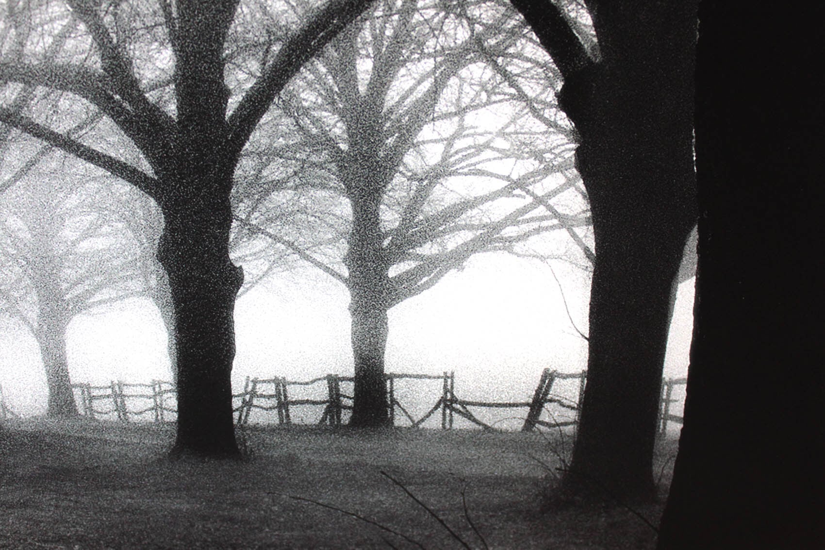 モノトーンアート ハロルド シルバーマン「モノクロの朝」額縁 フック