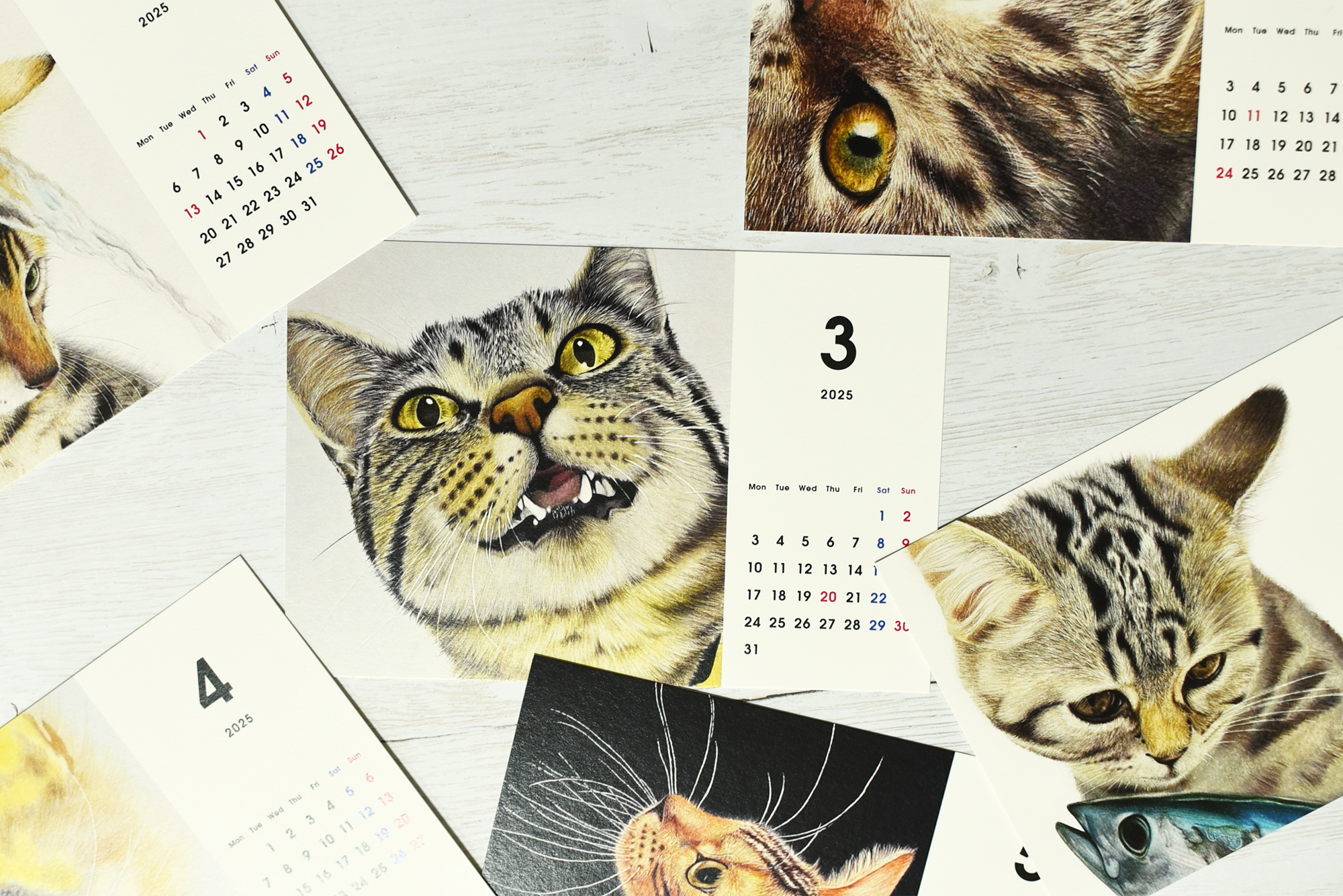 2025年ハガキサイズ卓上カレンダー[プレミアムスタンド]