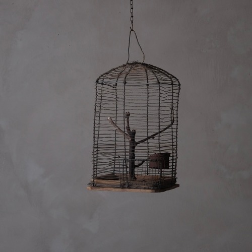 Bird cage