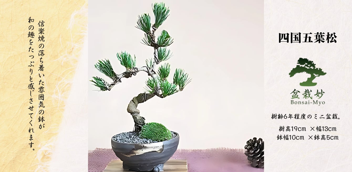 幸せの大きな宝箱