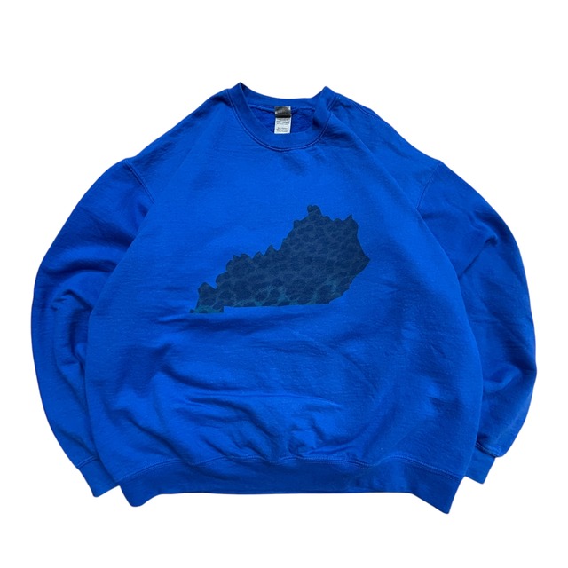 GILDAN/ギルダン【センタープリント】ビックシルエット◎ストリート系◎ブルー