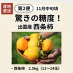 【予約・10月末より発送開始】【2026年産】柿壺の定期便