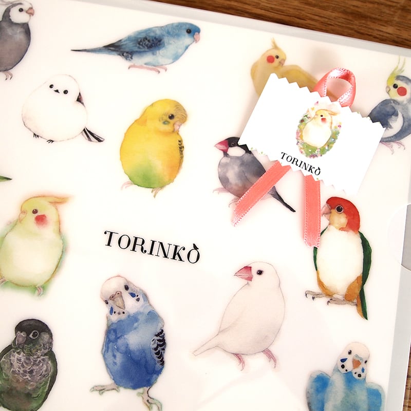 A4クリアファイル「52羽の鳥・インコ・オウムたち」TORINKO | TORINKO