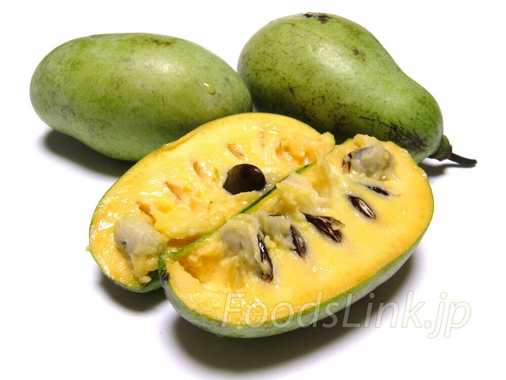 ポポー（ポーポー）Pawpaw12(2832-2128) | 旬の食材百科