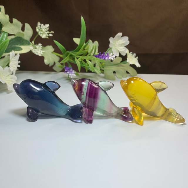 大家族☆海のアニマル♪♪フローライトイルカ☆