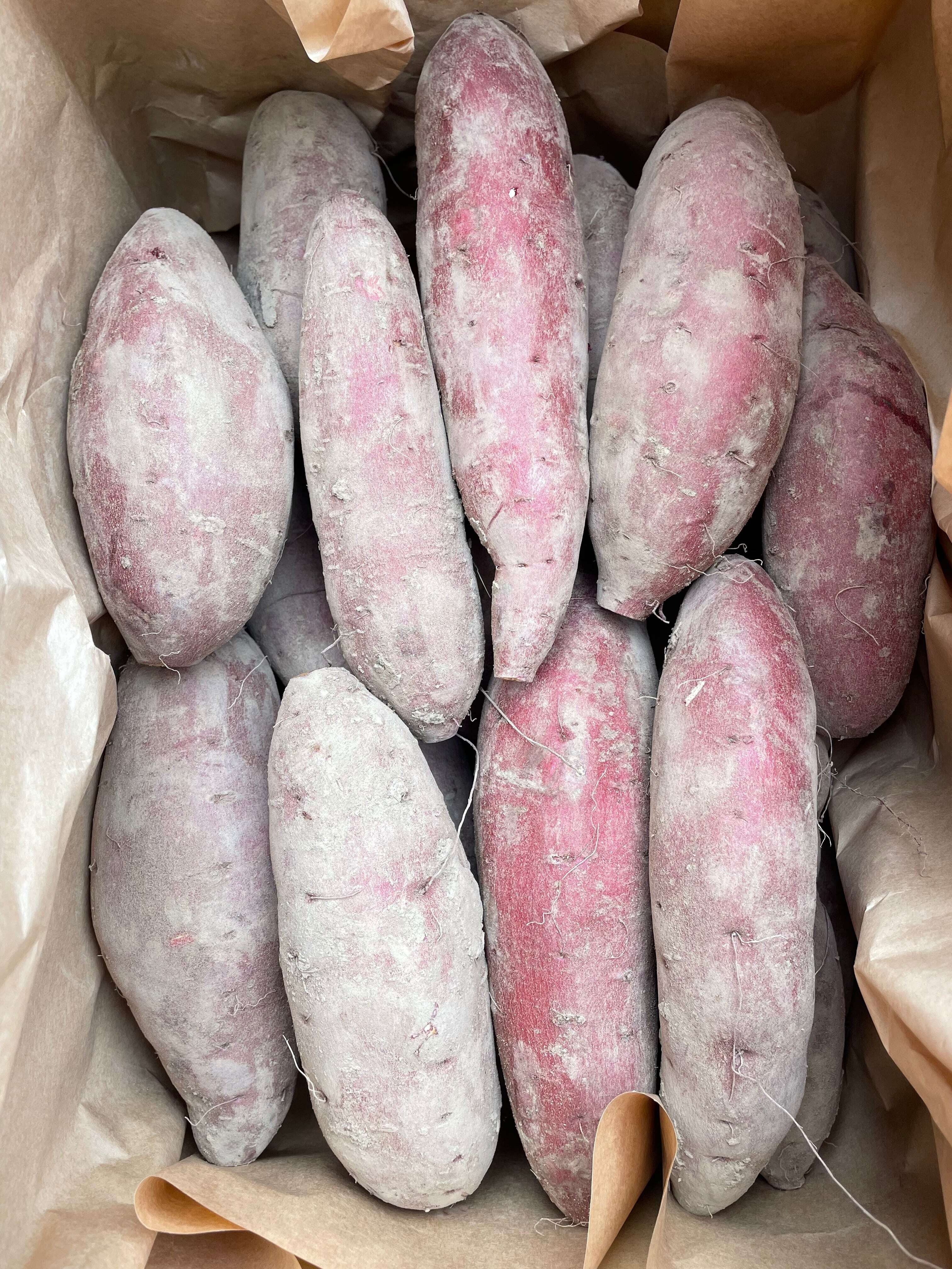 熟成シルクスイート【5㎏】 | すえづる農園